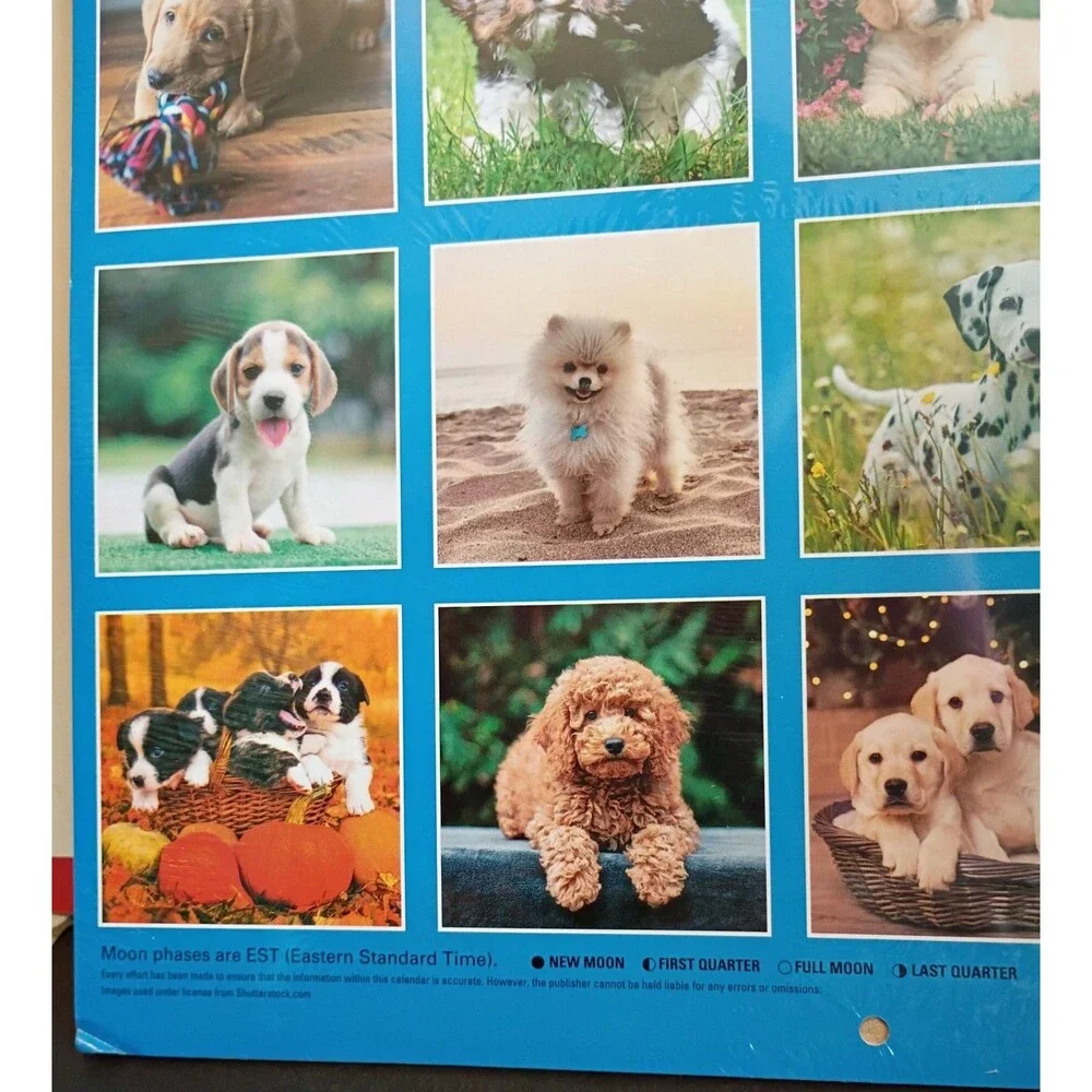 2027 New Wall Calendar Puppies 2 Pack 12